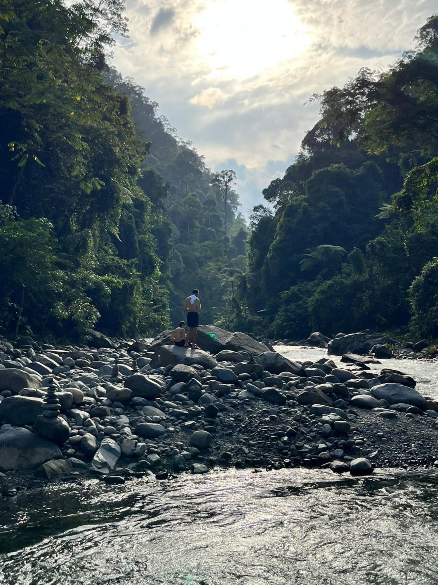 Asim Paris Guesthouse & Jungle Trekking Bukit Lawang Exterior photo