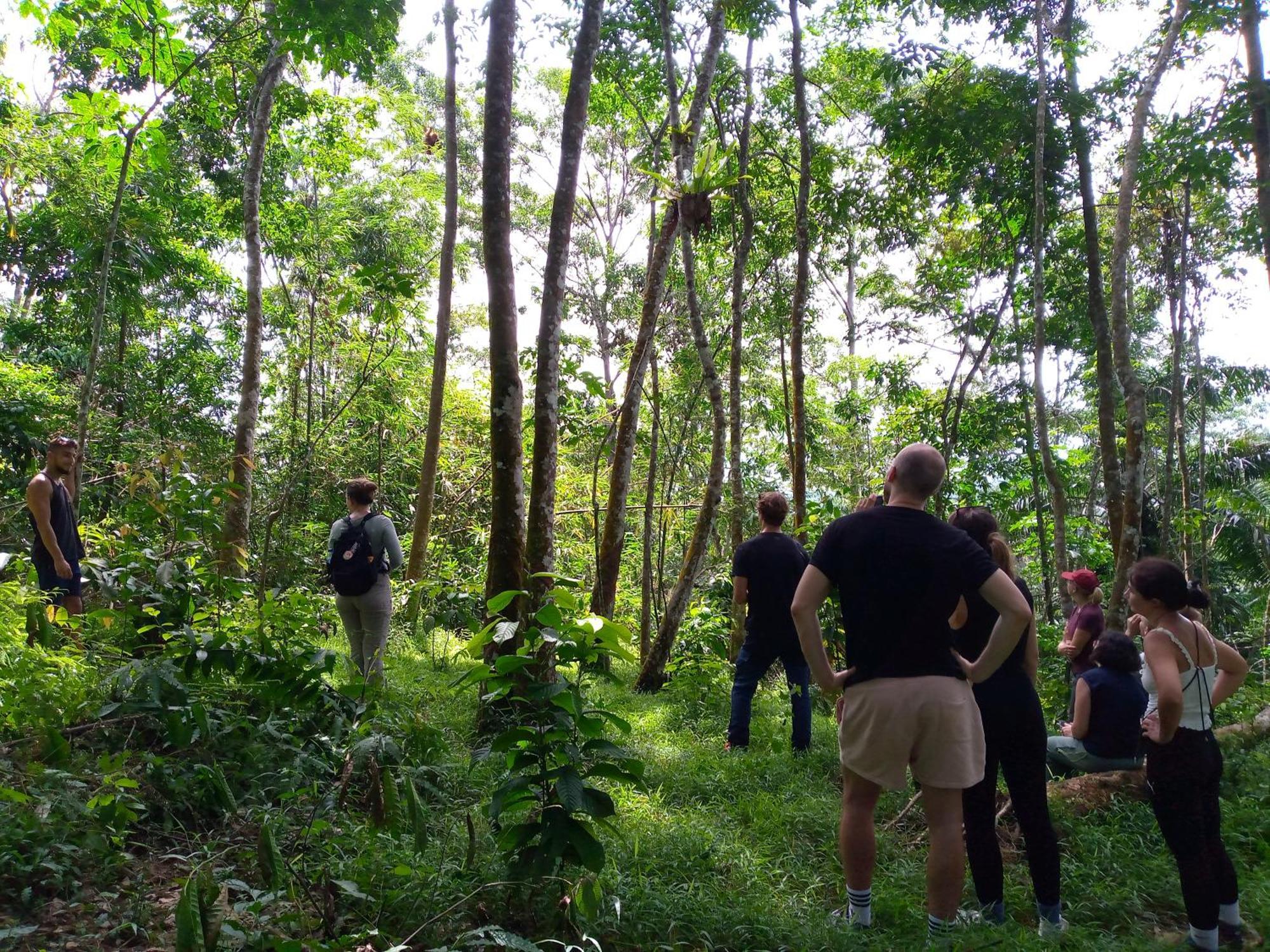 Asim Paris Guesthouse & Jungle Trekking Bukit Lawang Exterior photo