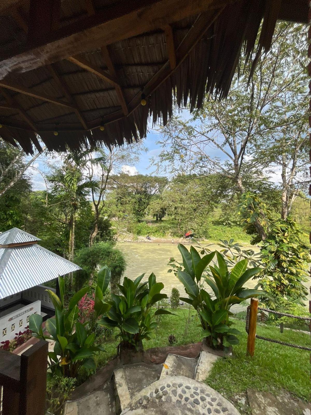 Asim Paris Guesthouse & Jungle Trekking Bukit Lawang Exterior photo