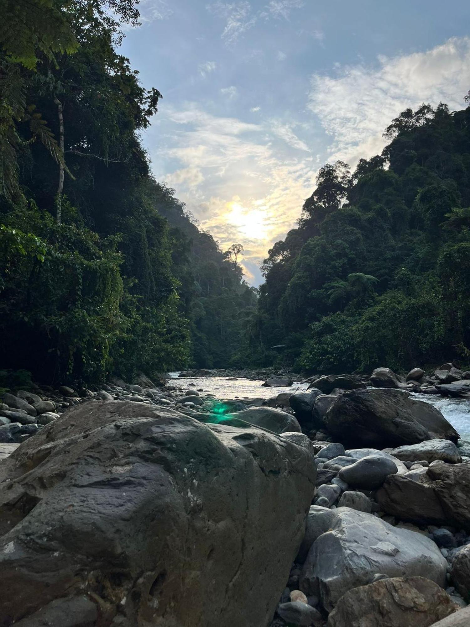 Asim Paris Guesthouse & Jungle Trekking Bukit Lawang Exterior photo